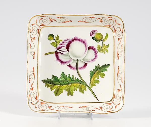 Appraisal: BOTANICAL PORCELAIN SQUARE TRAY American th century porcelain square tray