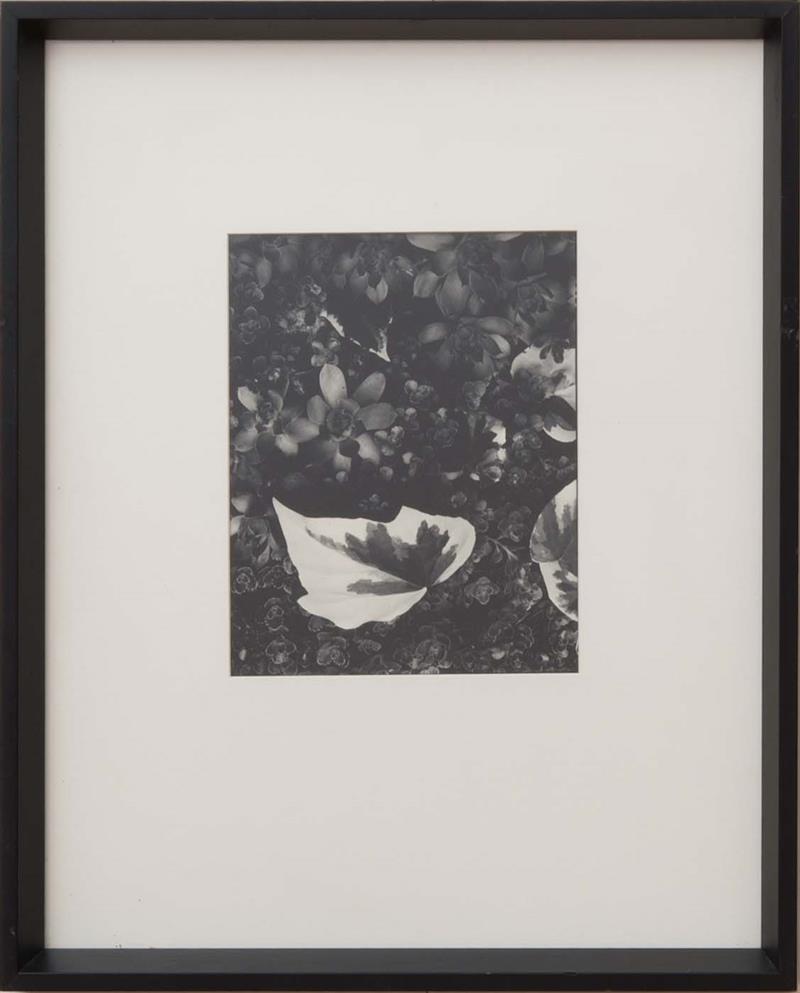 Appraisal: PAUL STRAND - THE GARDEN ORGEVAL FROM PORTFOLIO TWO Gelatin