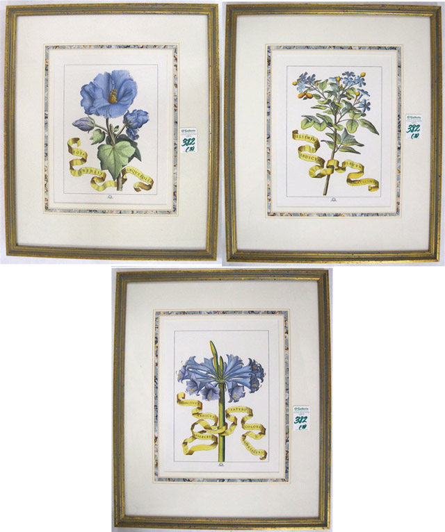 Appraisal: THREE HAND COLORED ENGRAVINGS of botanicals Narcissus Rose etc with