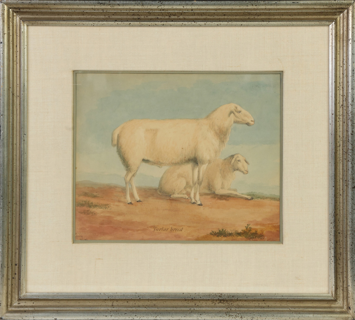 Appraisal: Eugene VerBockhoven Belgian - Tartar breed Sheep Sgn Lower left