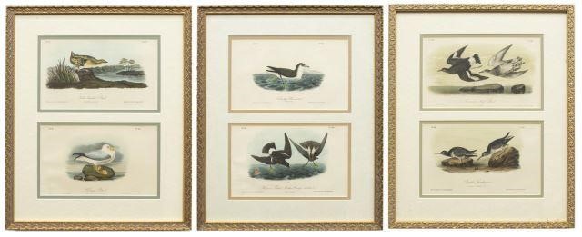 Appraisal: lot of Framed hand-colored ornithology lithographs on paper from The