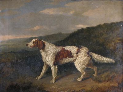 Appraisal: Abraham Cooper - A pointer in a landscape Oil on