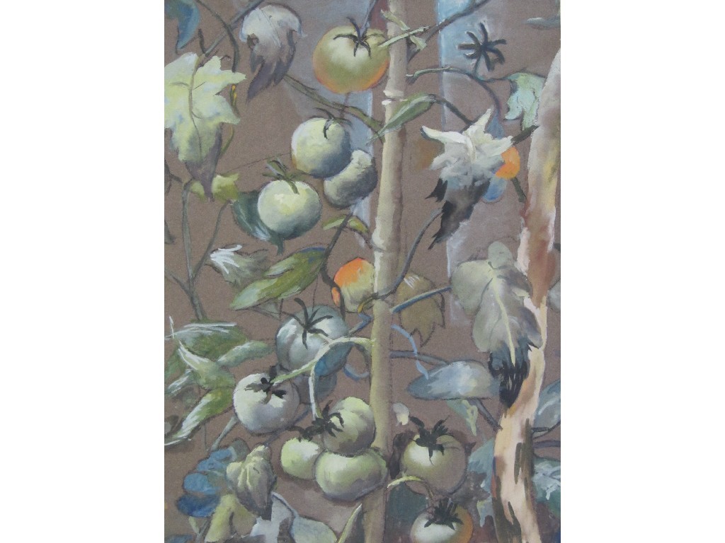 Appraisal: DAVID PURNELL TH CENTURY FRUITING BRANCHES Gouache signed x cm