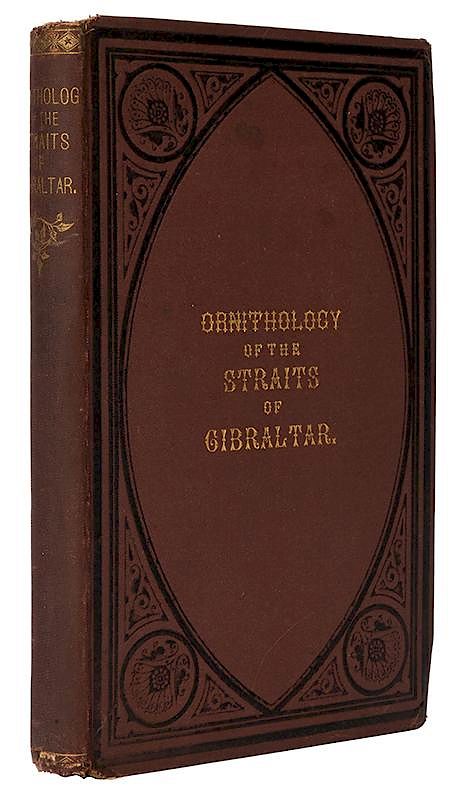 Appraisal: The Ornithology of the Straits of Gibraltar Birds Irby Howard