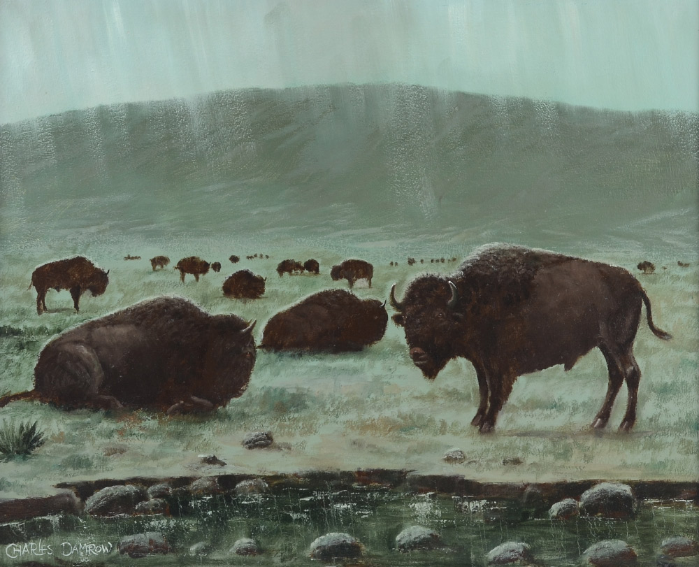 Appraisal: DAMROW Charles American - Pastoral Scene with Buffalo Herd Oil