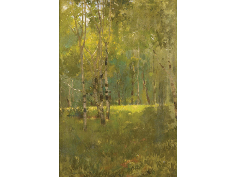 Appraisal: PAUL CORNOYER AMERICAN - Birch forest oil on canvas signed