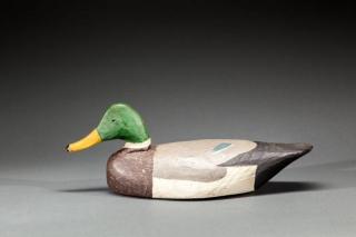 Appraisal: Mallard Drake Miles Hancock - Chincoteague VA A tack-eyed decoy