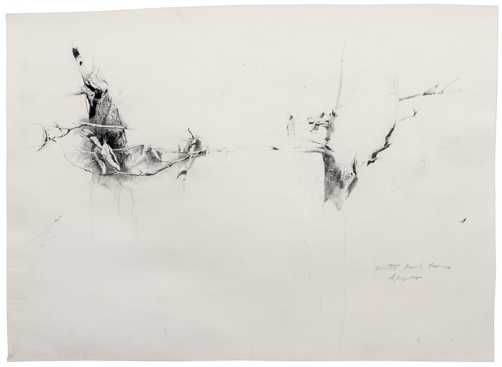 Appraisal: ANDREW NEWELL WYETH American - Winter Beech Leaves graphite on