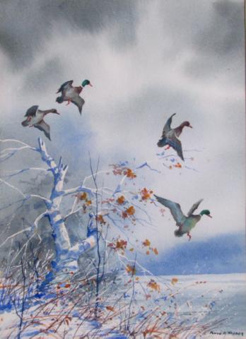 Appraisal: Floyd Hopper - IN x Watercolor Signed Lower Right Ducks