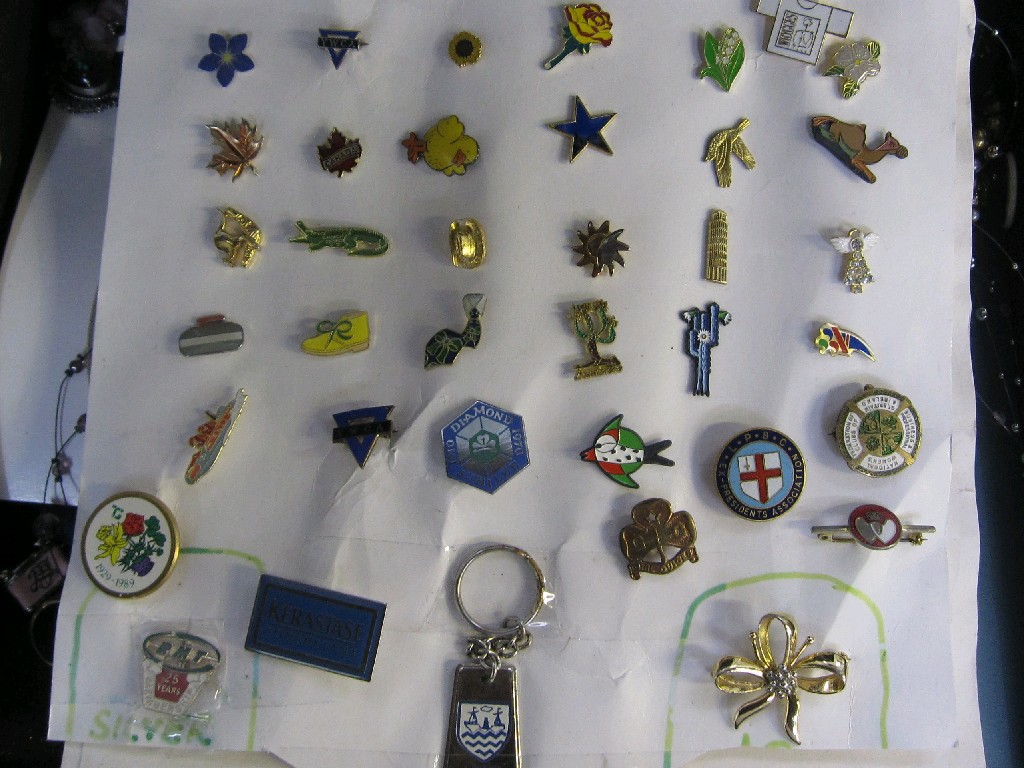 Appraisal: Case of costume jewellery and badges