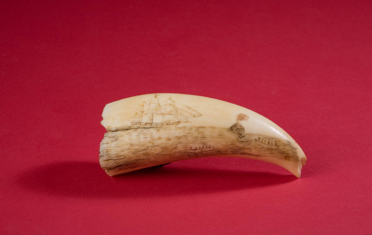 Appraisal: SCRIMSHAW WHALE'S TOOTH ENGRAVED WITH SCENE OF A HARPOONED WHALE