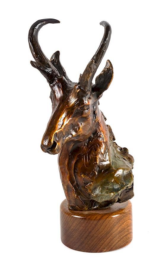 Appraisal: Sandy Scott x inches Sandy Scott american b Pronghorn Bust