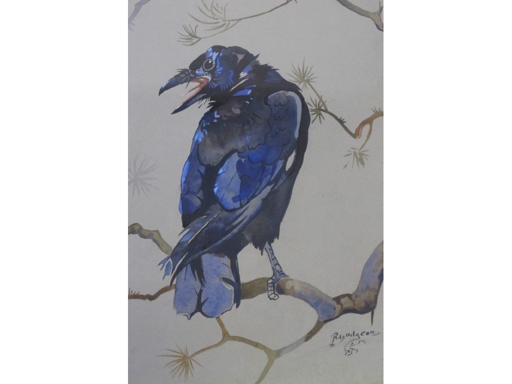 Appraisal: RALSTON GUDGEON RSW - YOUNG ROOK Watercolour signed x cm