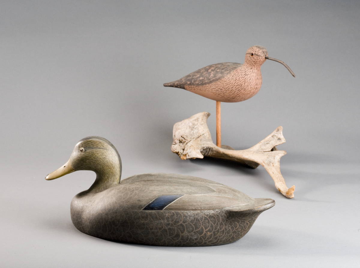 Appraisal: CARVED AND PAINTED BLACK DUCK AND A CURLEW DECOY PHIL