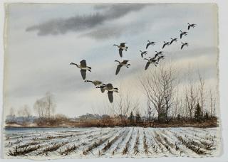 Appraisal: David Hagerbaumer - Canadas Over Cornfieldsigned David Hagerbaumer lower rightwatercolor