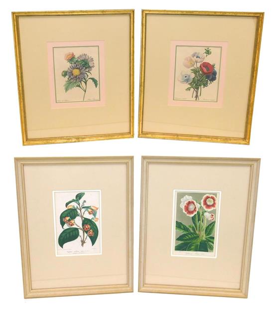 Appraisal: Four botanical prints pair after Pierre Joseph Redout - from