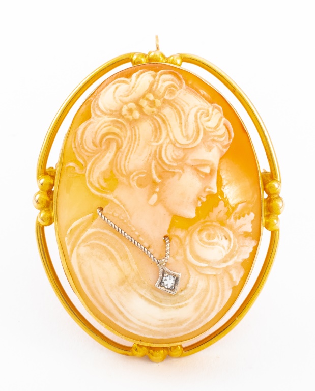 Appraisal: K YELLOW GOLD CAMEO PIN PENDANT K yellow gold frame