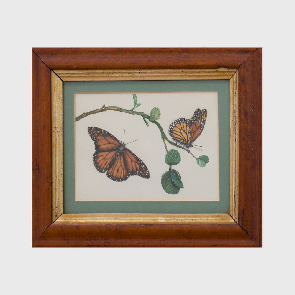 Appraisal: Two English Watercolors of Butterflies and Six Framed Butterfly Specimens