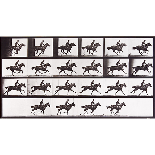 Appraisal: Eadweard Muybridge British American - Animal Locomotion plate nos handwritten