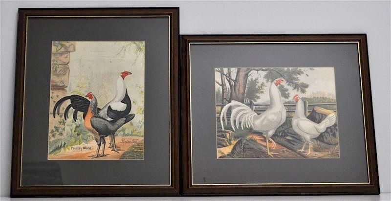 Appraisal: th c POULTRY WORLD COLOR LITHOGRAPHS CHICKENS Two th c