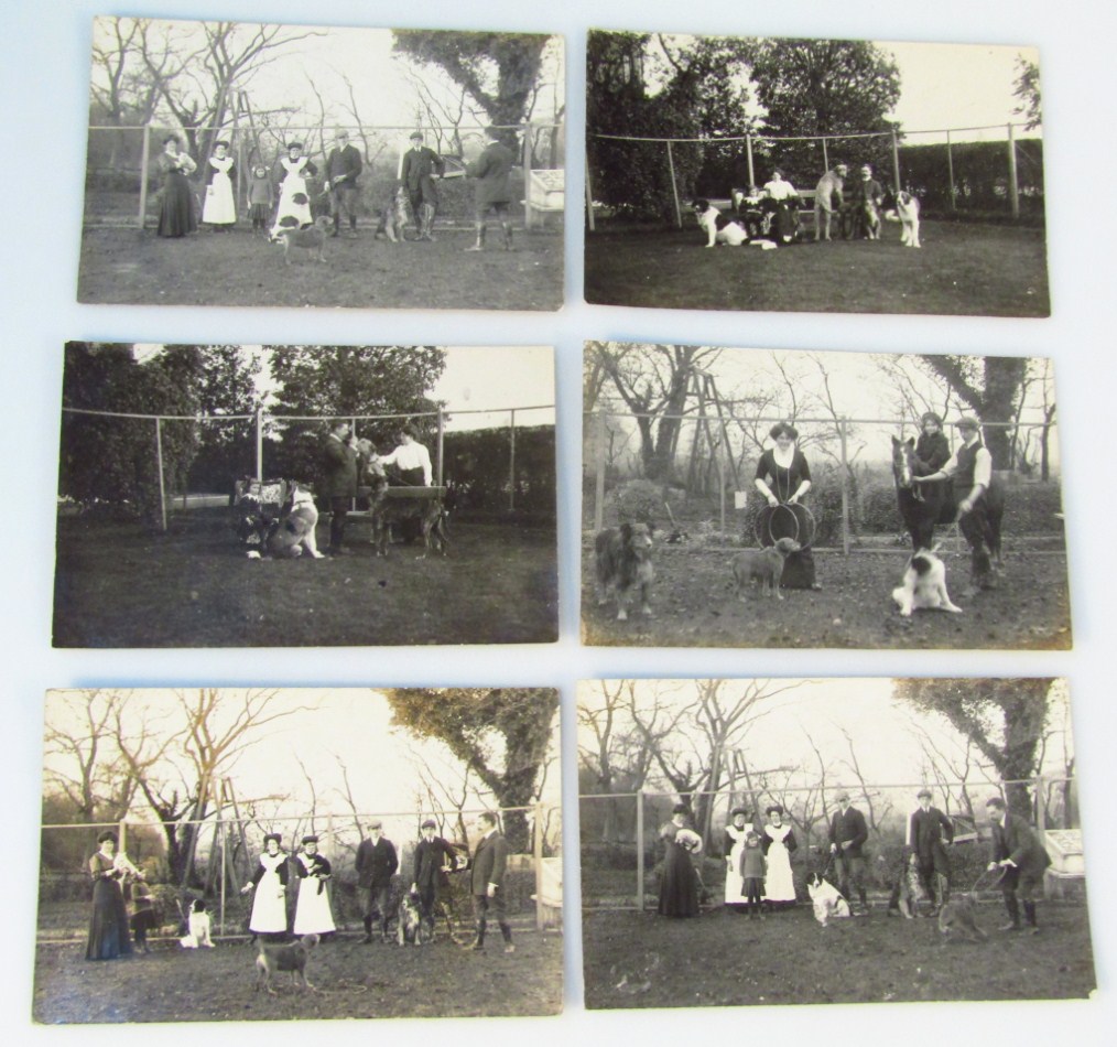 Appraisal: Various early thC postcards all Thoresby Pet Show Dog Judging