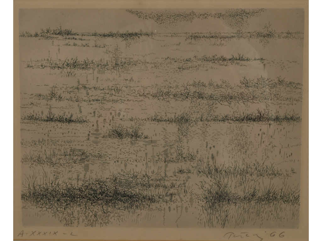 Appraisal: Gabor Peterdi American - Etching Marshes in Winter from the