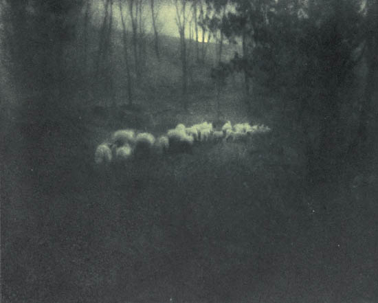 Appraisal: CAMERA WORK Numbers Edited by Alfred Stieglitz Together issues of