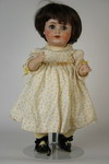 Appraisal: DOLL - Kestner flirty eyed bisque swivel head with open