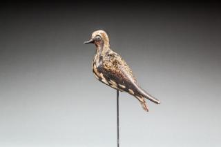 Appraisal: Hollow Golden Plover Nantucket MA c An expertly crafted shorebird