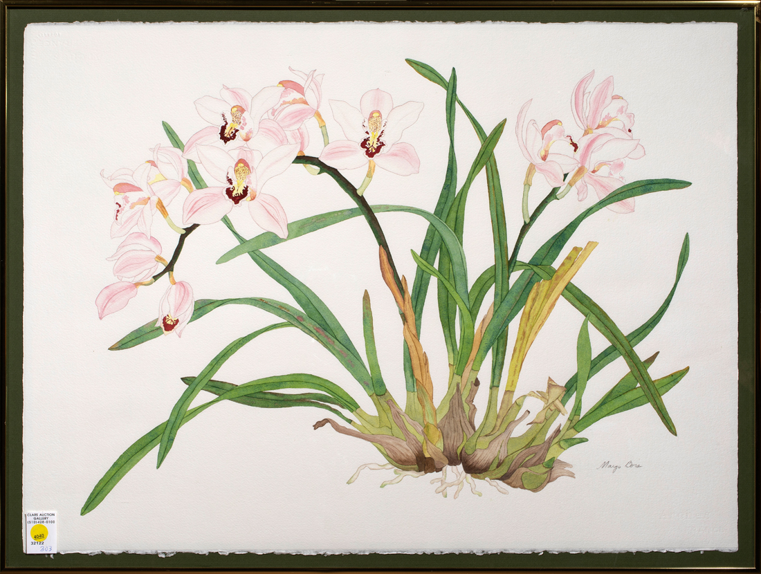 Appraisal: WATERCOLOR MARGO BORS Margo Bors American th st century Orchids