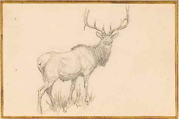 Appraisal: Attributed to Charles Marion Russell American - Bull Elk pencil