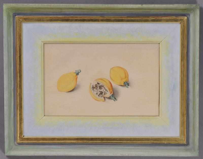 Appraisal: ATTRIBUTED TO FRANZ X GRUBER AUSTRIAN - THREE LEMONS Watercolor