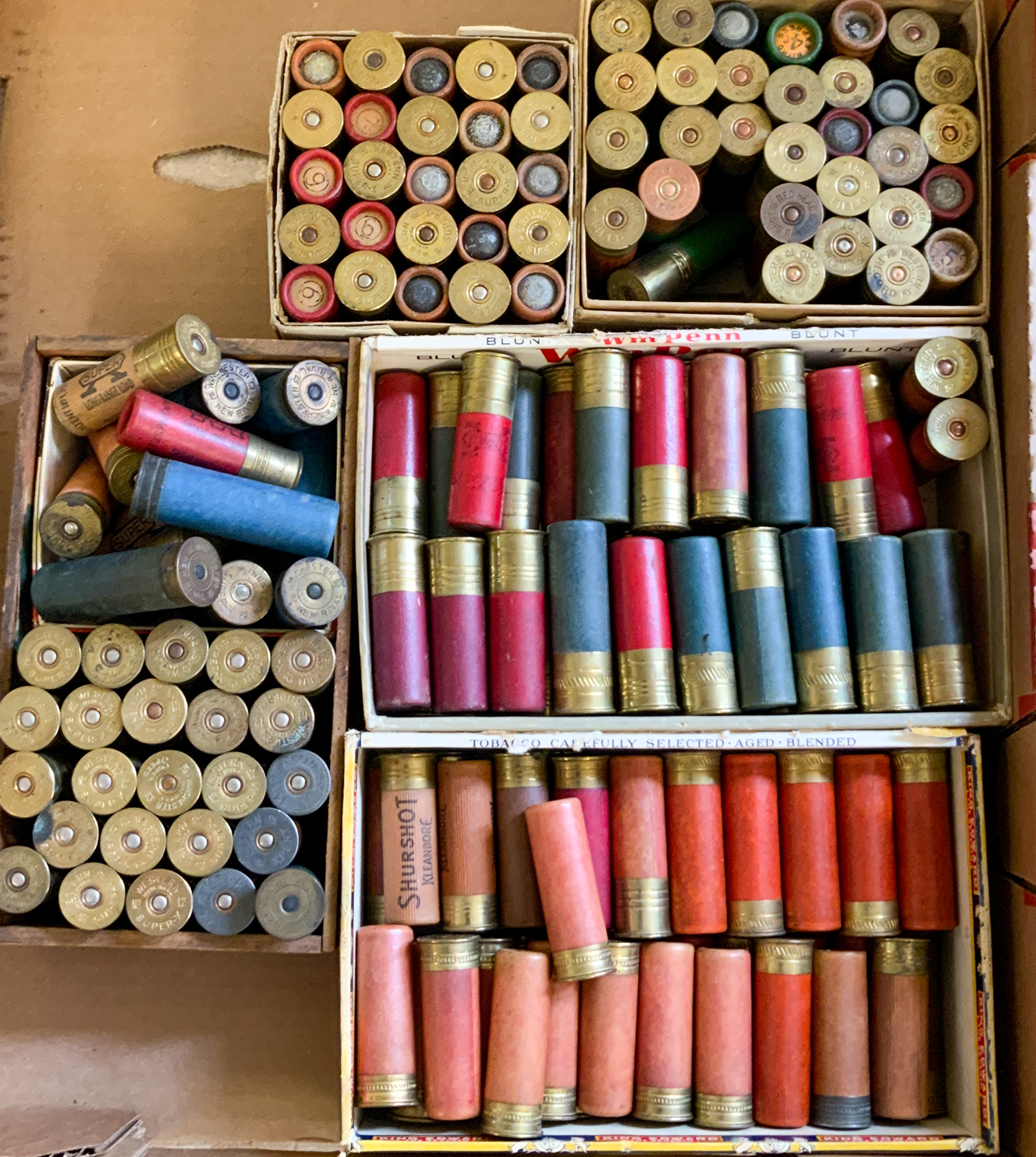 Appraisal: GROUP OF PAPER AND BRASS SHOTGUN SHELLS Gauge and Gauge