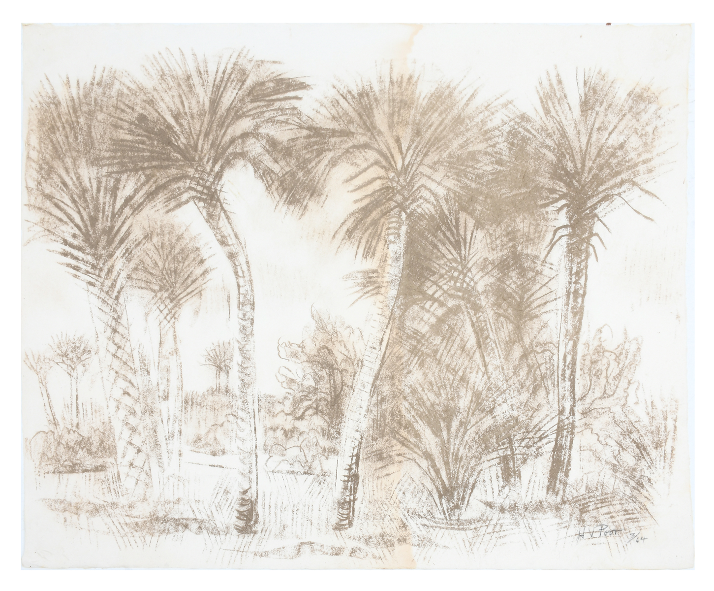 Appraisal: POOR Henry Varnum American - Palmettos in Umber '' x