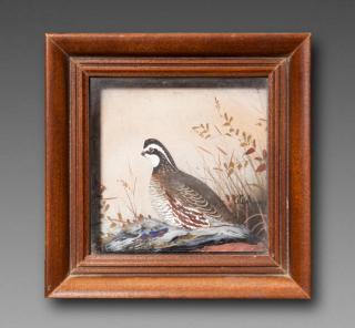 Appraisal: Bobwhite Quail Diorama Joseph Q Whipple - Canton OHc by