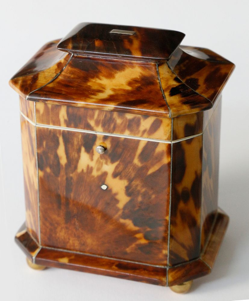 Appraisal: Regency English Single Compartment Tortoiseshell Tea Caddy ca Diminutive English