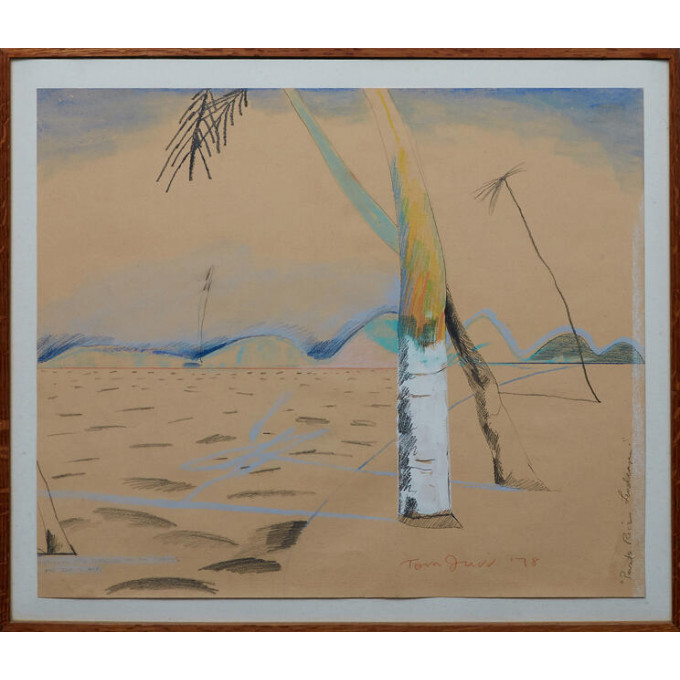 Appraisal: Tom Judd - American Puerto Rican Landscape pastel on paper