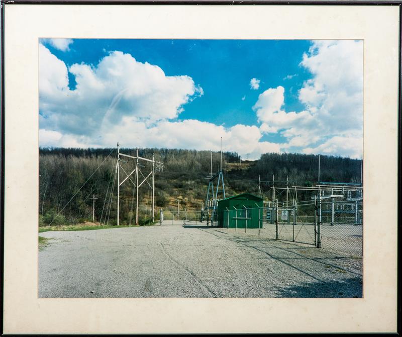 Appraisal: th Century School Power Plant Color photograph x in sheet