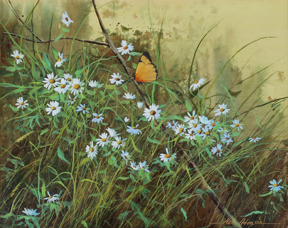 Appraisal: ADAMSON Neil American th Century ''Daisies with Butterfly'' Watercolor and