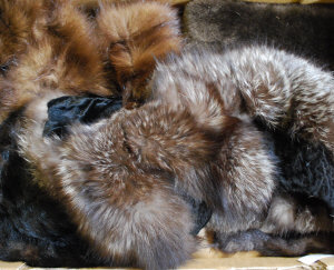 Appraisal: Fox fur shoulder stole with head and tails a fox