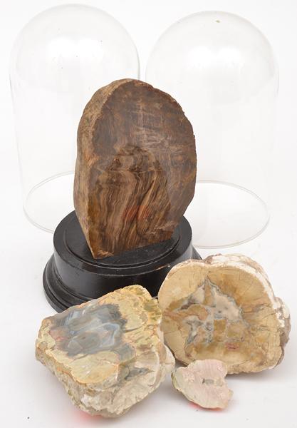 Appraisal: A COLLECTION OF MINERAL SPECIMENS TOGETHER WITH TWO GLASS DOMES