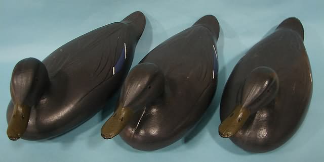 Appraisal: plastic Black duck decoys by Victor Woodstream Corp