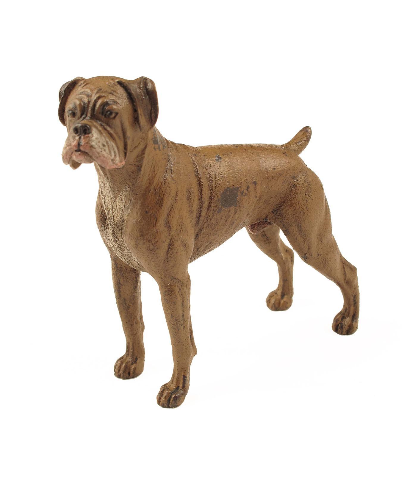 Appraisal: An Austrian cold painted bronze of a standing boxer