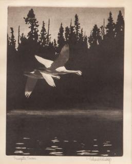 Appraisal: Richard E Bishop - Trumpeter Swans signed Richard E Bishop