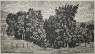 Appraisal: Luigi Lucioni etching Luigi Lucioni American - - ''Birch Group''