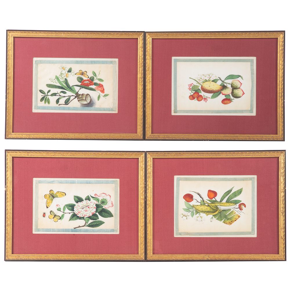 Appraisal: Set of Four Chinese Export Botanical Gouaches Circa colorful fruit