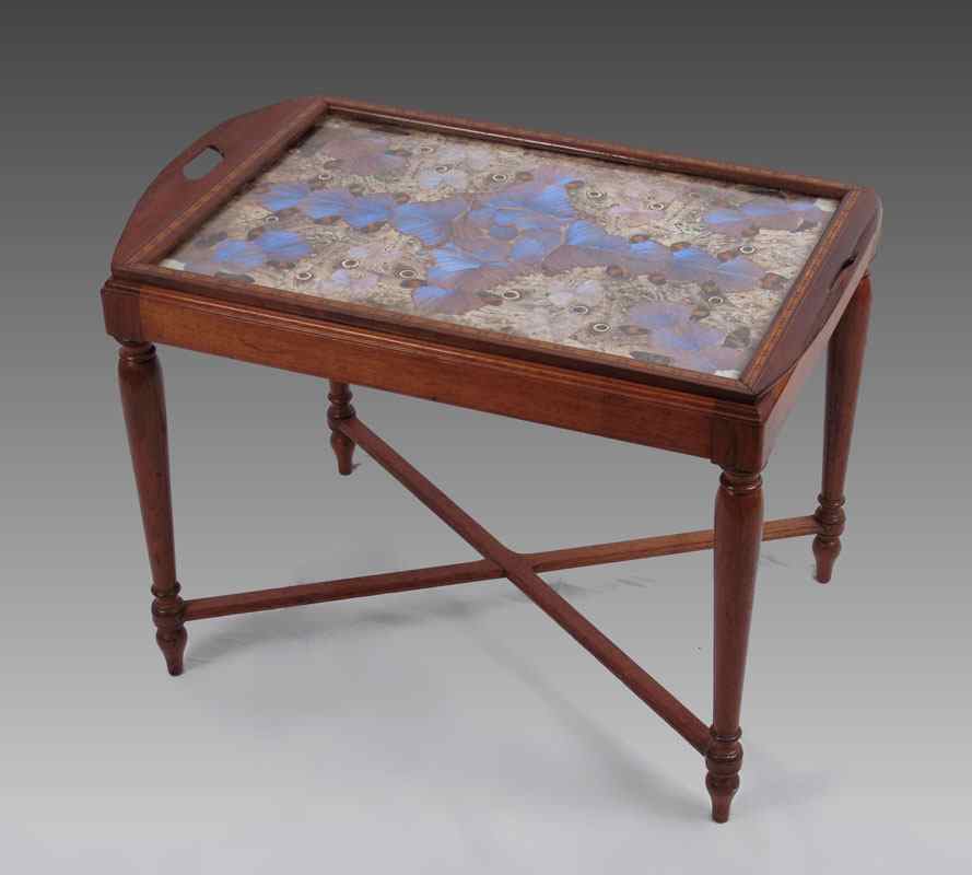 Appraisal: BRAZILIAN BUTTERFLY TEA TABLE Removable tray with butterfly wing designs