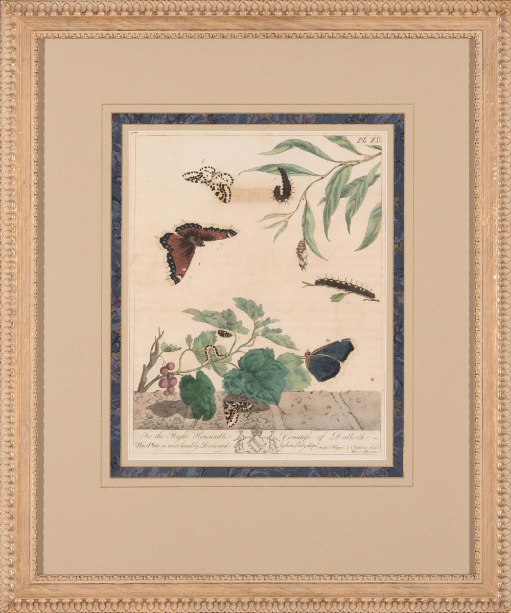 Appraisal: Moses Harris British - Butterflies Plates and hand-colored engravings from