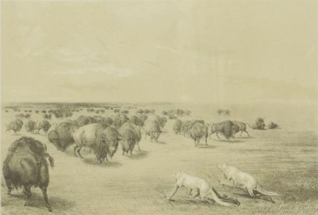 Appraisal: Framed lithograph on paper Buffalo Hunt Under the White Wolf