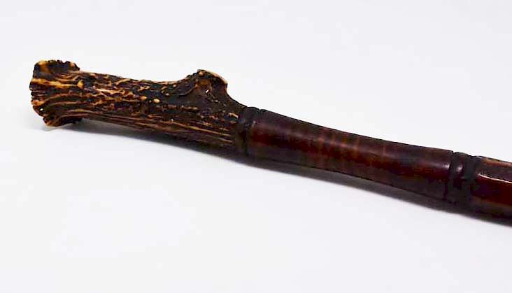 Appraisal: Curly maple walking stick Curly maple walking stick with antler